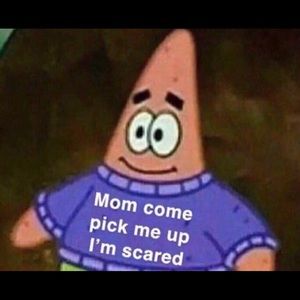 Meet your Posher, Roberto